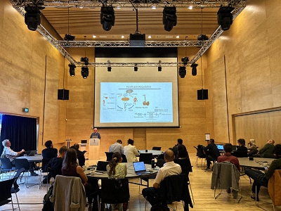 posturo25-6 posturo25-6